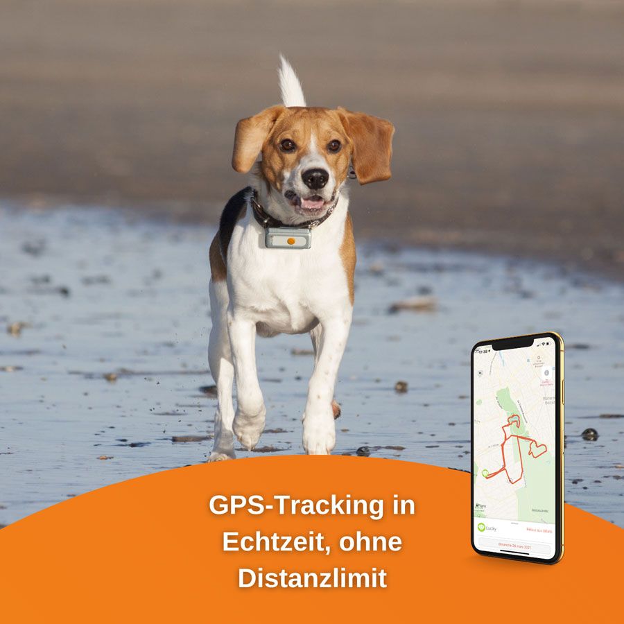 Landfuxx GPS