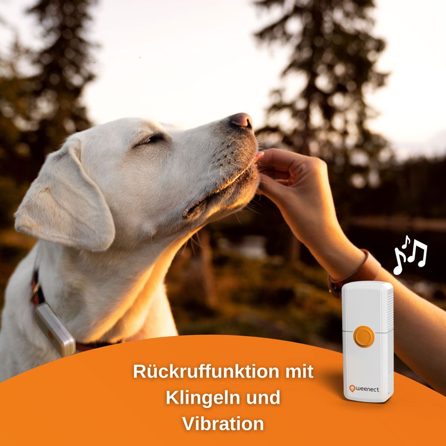Landfuxx GPS