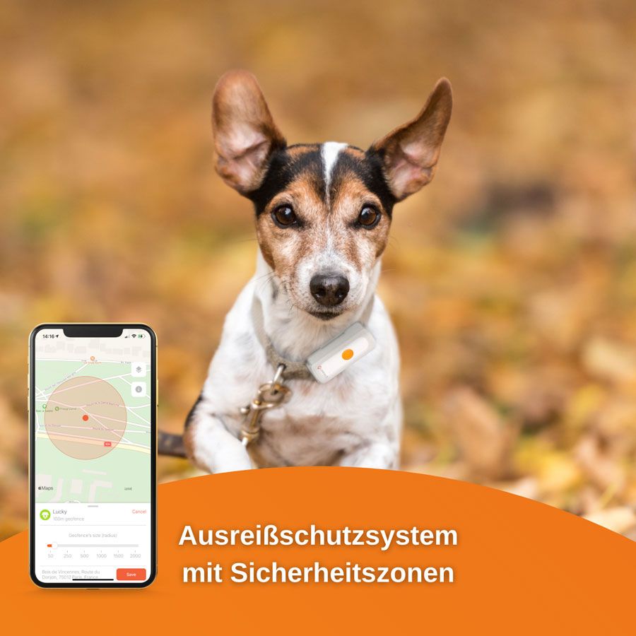 Landfuxx GPS